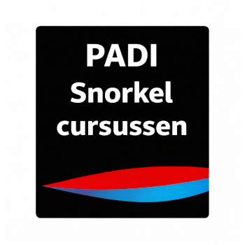 PADI Snorkel cursussen R